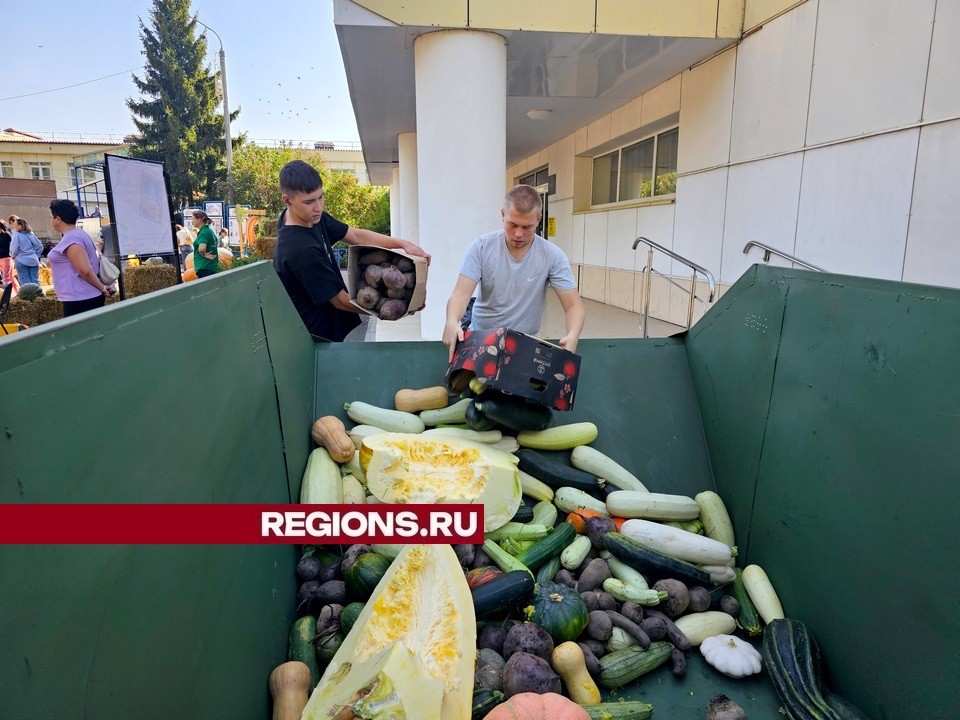 На корм животным: луховичане поддержали акцию по сбору излишек урожая