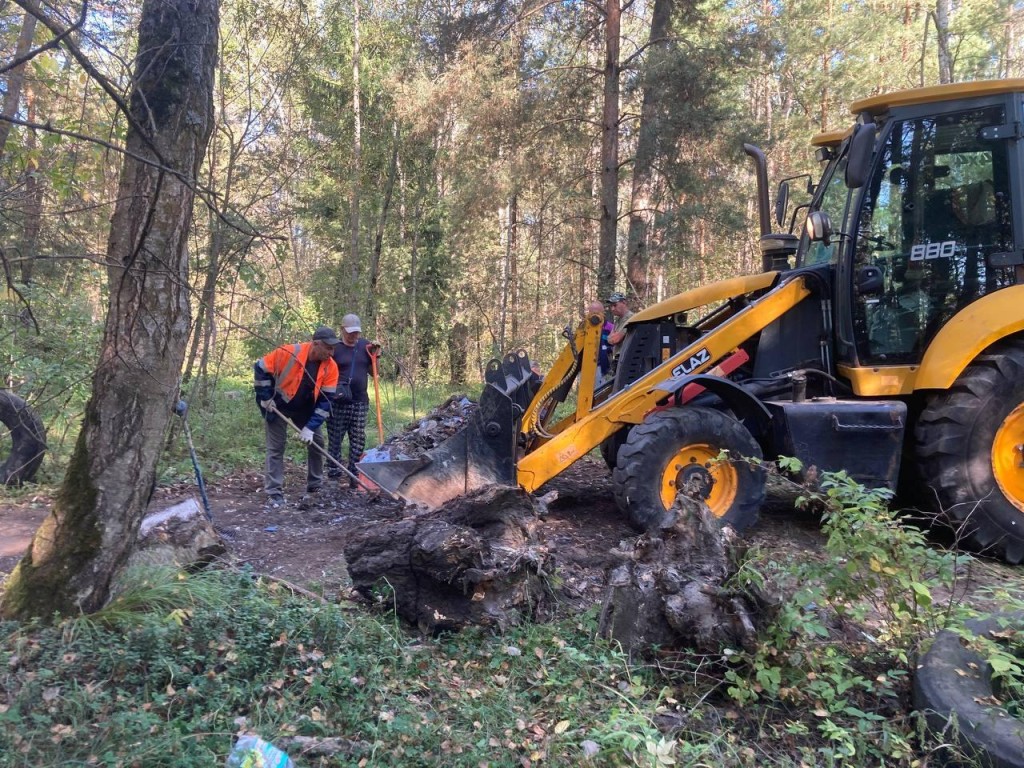 Жители помогли обнаружить незаконную свалку объемом 115 кубометров в лесу