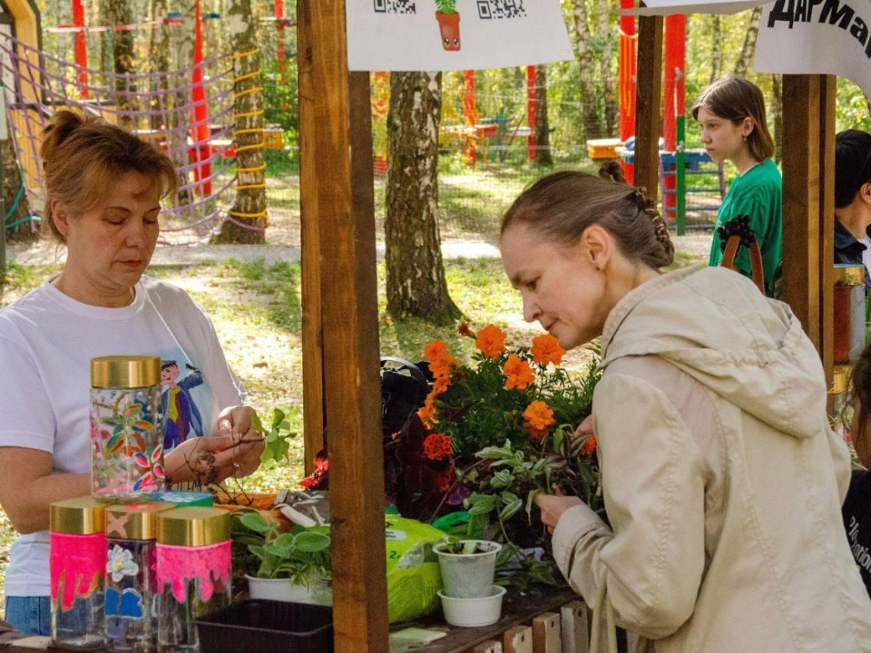 14 сентября в Домодедове пройдет «Зеленая ДАРмарка» для обмена семенами и урожаем