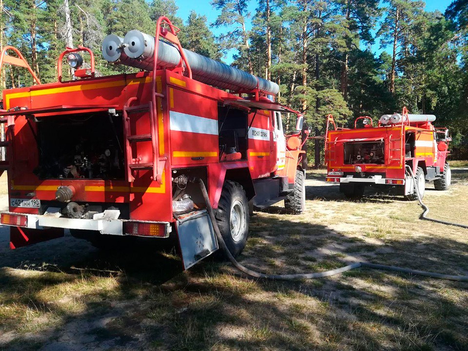 В Кривандино установлены подозреваемые в поджоге леса