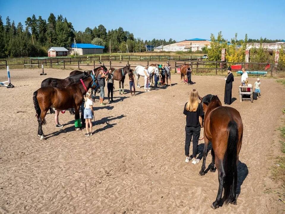 Батюшка окропил святой водой лошадей в Орехово-Зуеве