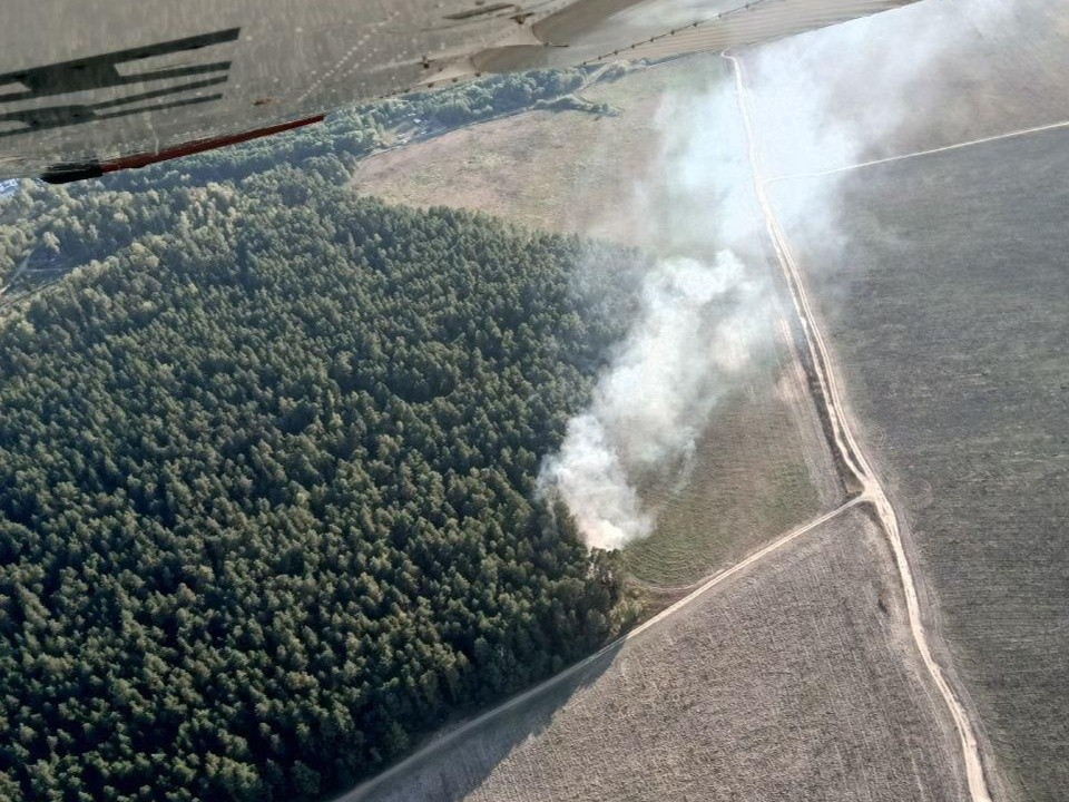 Больше часа тушили лесной пожар в Раменском округе