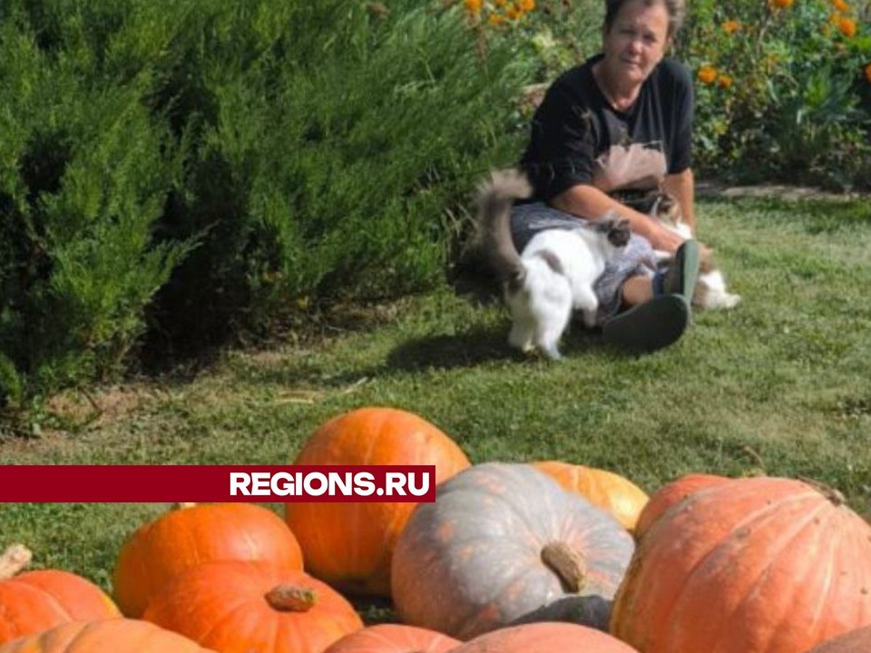 Рецептом вкусного «манго» из тыквы поделилась огородница из СНТ «Дружба»