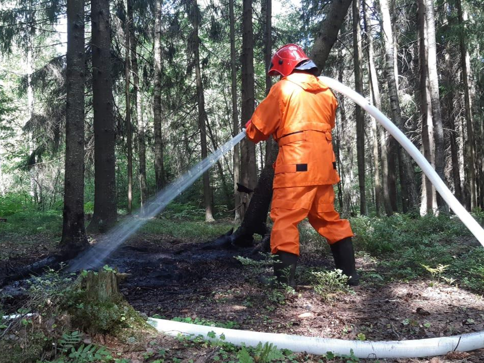 В лесах черноголовского округа пожароопасный сезон