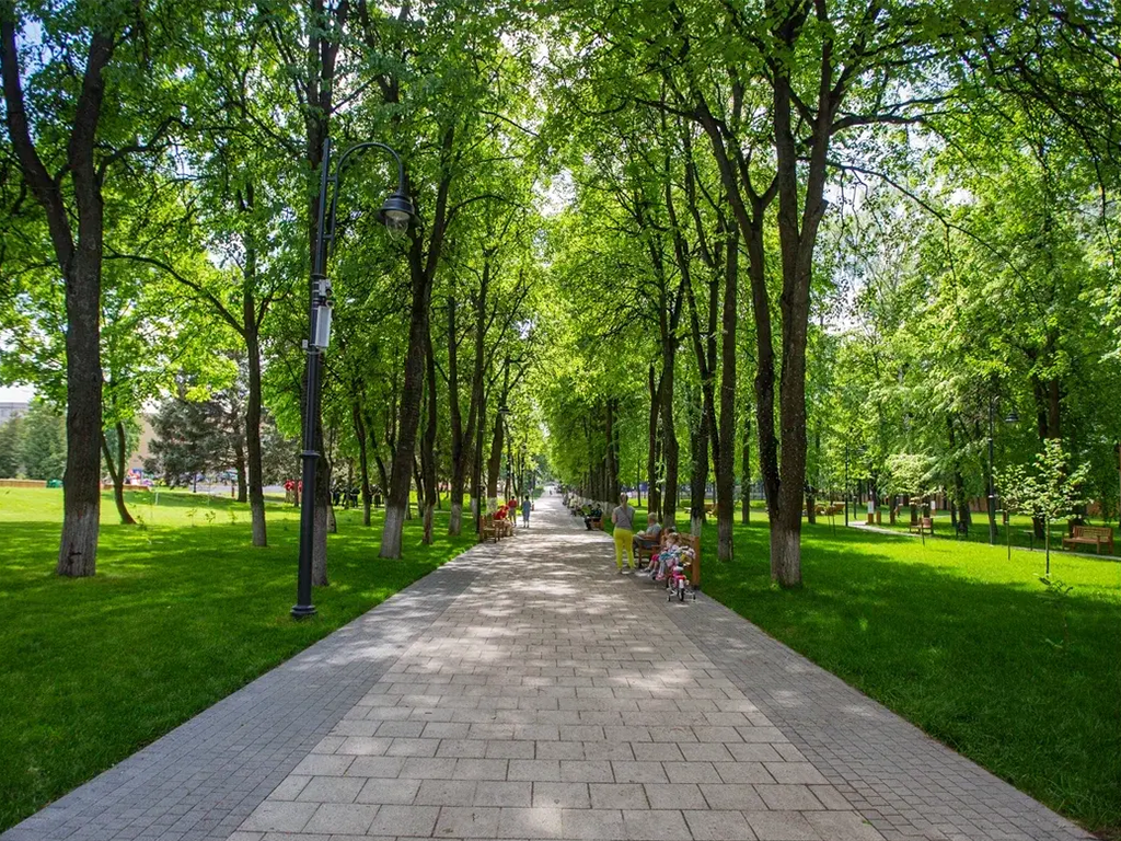 Зарайцев приглашают в парк на осенние прогулки