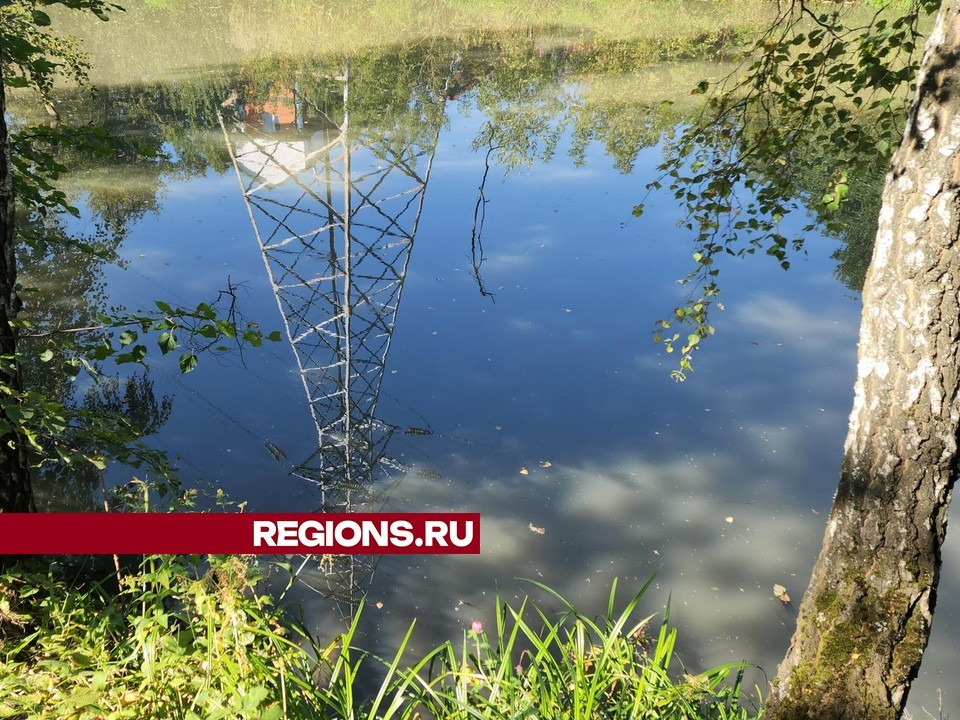 Очисткой Баковского пруда в Одинцовском округе займется муниципальная спецбригада