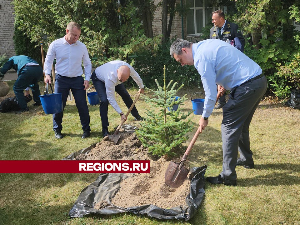 Саженцы хвойных деревьев высадили в Пушкино в честь юбилея института лесоводства