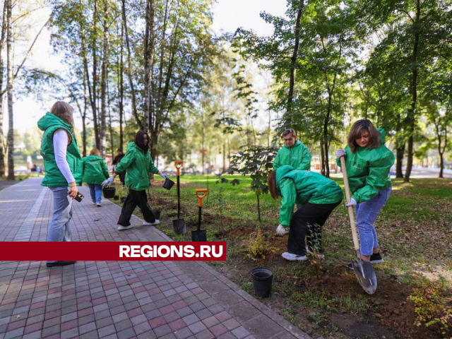 Больше сотни новых растений высадили в Клину на акции «День в лесу»