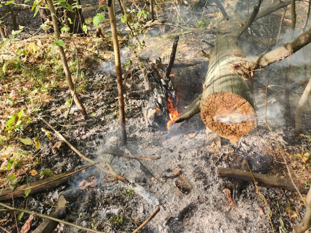 Второй за двое суток торфяной пожар ликвидировали в Раменском