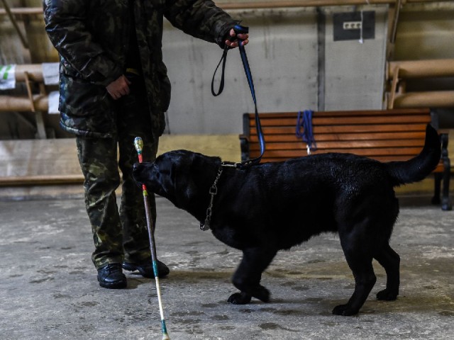 Маленькие жители Талдомского округа подружились со служебной собакой на полицейской акции