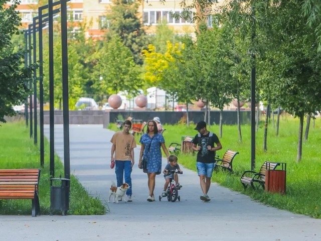 Погулять с собакой можно в парке на берегу Клязьминского водохранилища