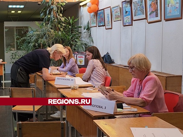 В Дубне начался заключительный день голосования за новый состав Совета депутатов