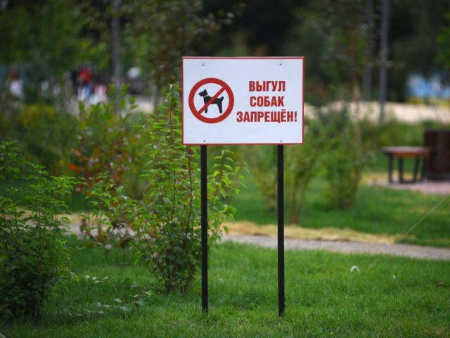 В парке Реутова появились таблички, запрещающие выгул собак