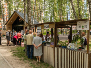 Сразу два экологических мероприятия пройдут в парках округа 14 сентября