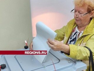 Бывший директор школы в Восходе Галина Ширяева проголосовала на депутатских выборах