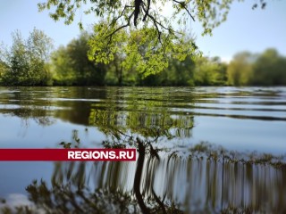 В Серпухове река Нара вновь заполнила свои береговые русла