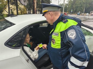 Сотрудники ГАИ напомнили дубненским водителям правила перевозки маленьких пассажиров