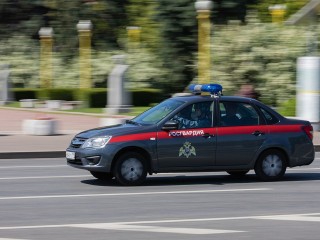 На Московской железной дороге задержали поджигателей