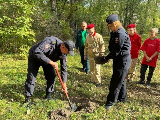 Полицейские и школьники высадили деревья в Лотошине в память о погибших участниках ВОВ