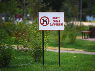 В парке Реутова появились таблички, запрещающие выгул собак