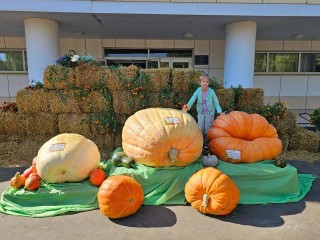 Город Луховицы стал тыквенной столицей Подмосковья