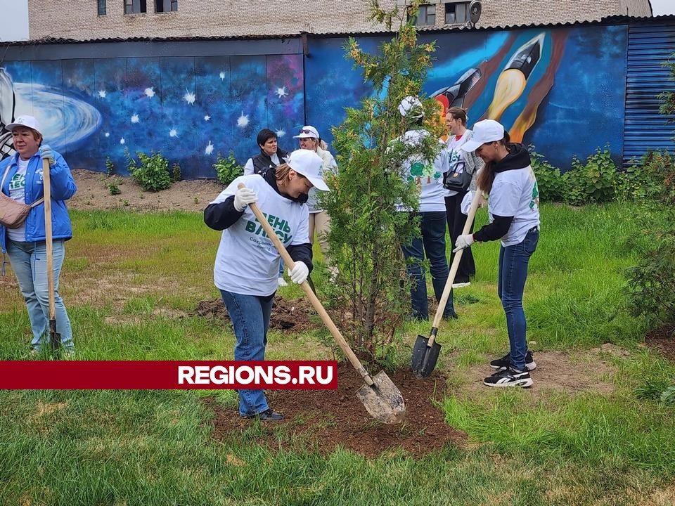 Через несколько лет в сквере возле АО «ОКБ КП» вырастут каштаны, орехи и сирень