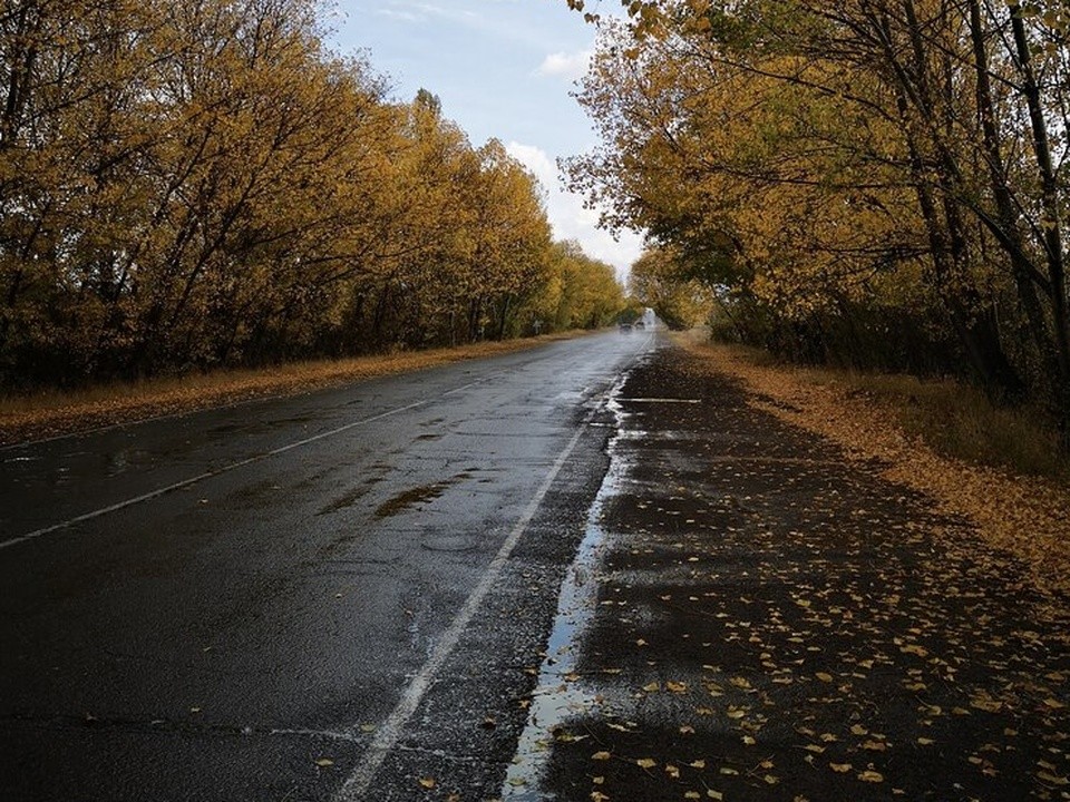 В понедельник в Звенигороде пасмурно