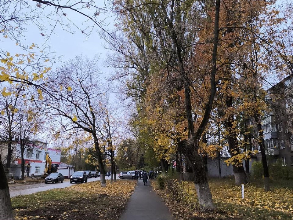 По просьбе воскресенцев над тротуаром убрали свисающие ветки деревьев