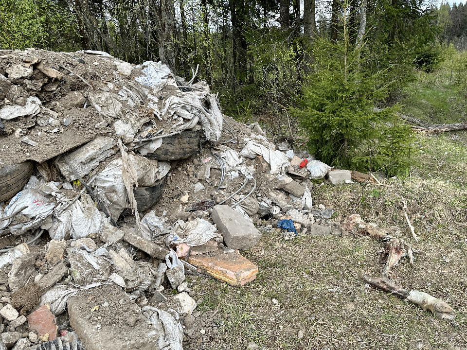 Коммерсанты, устроившие свалку в поселке под Рузой, заплатят крупный штраф