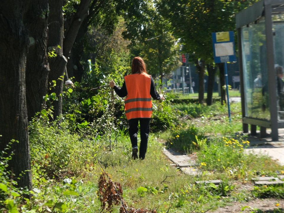 «Модные стрижки» кустарникам сделали подростки Пущина на проспекте Науки