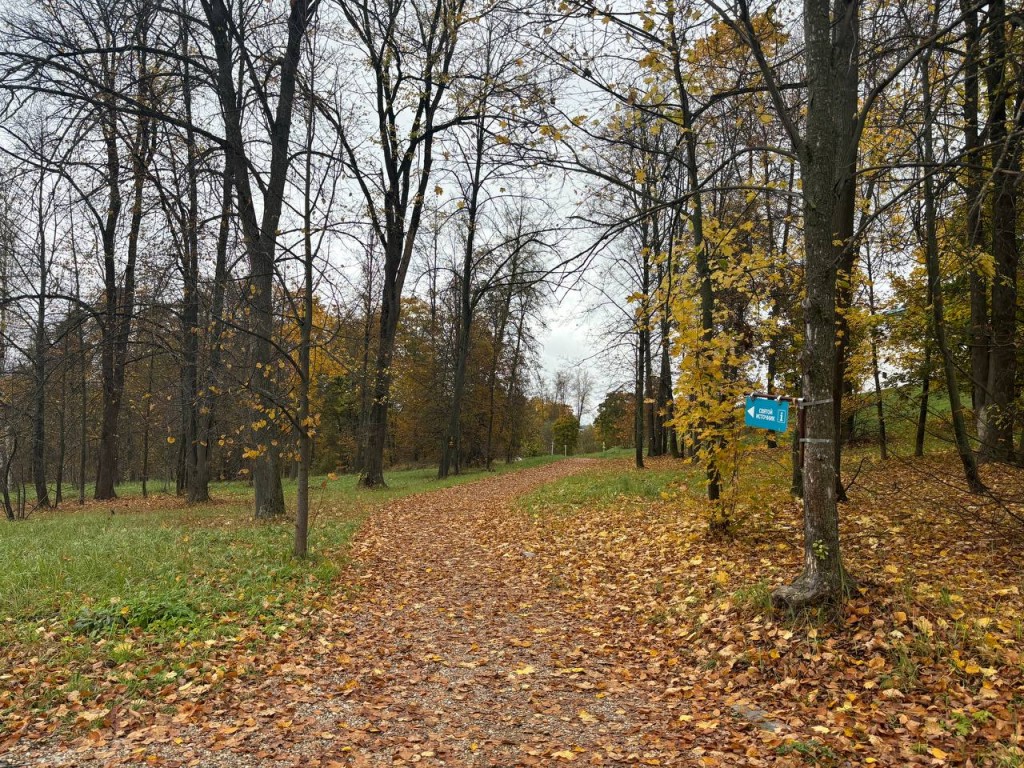 В Лотошине резко начнет холодать с сегодняшнего дня