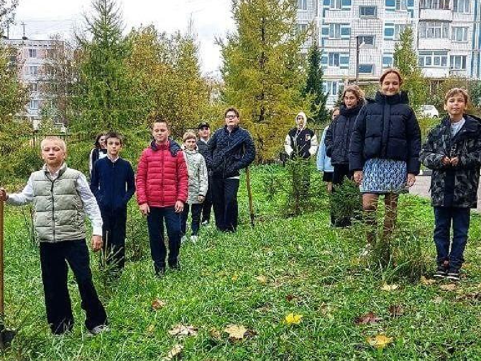 Саженцы еловых деревьев высадили в Подосинковской школе Дмитровского округа
