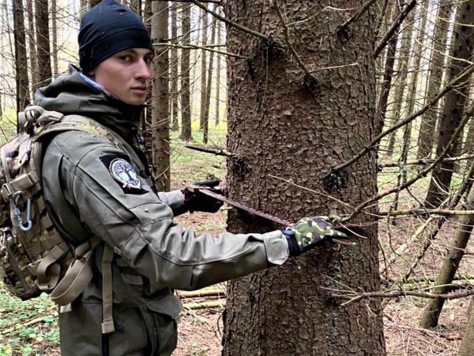 Данные о росте елей в Серпухове помогут студентам мытищинского филиала МГТУ написать научные работы