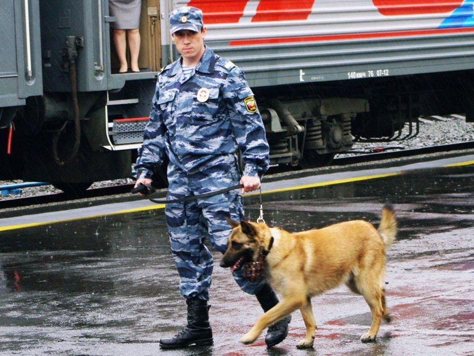 Поезда на участке Дрезна — Крутое остановили из-за подозрительного предмета