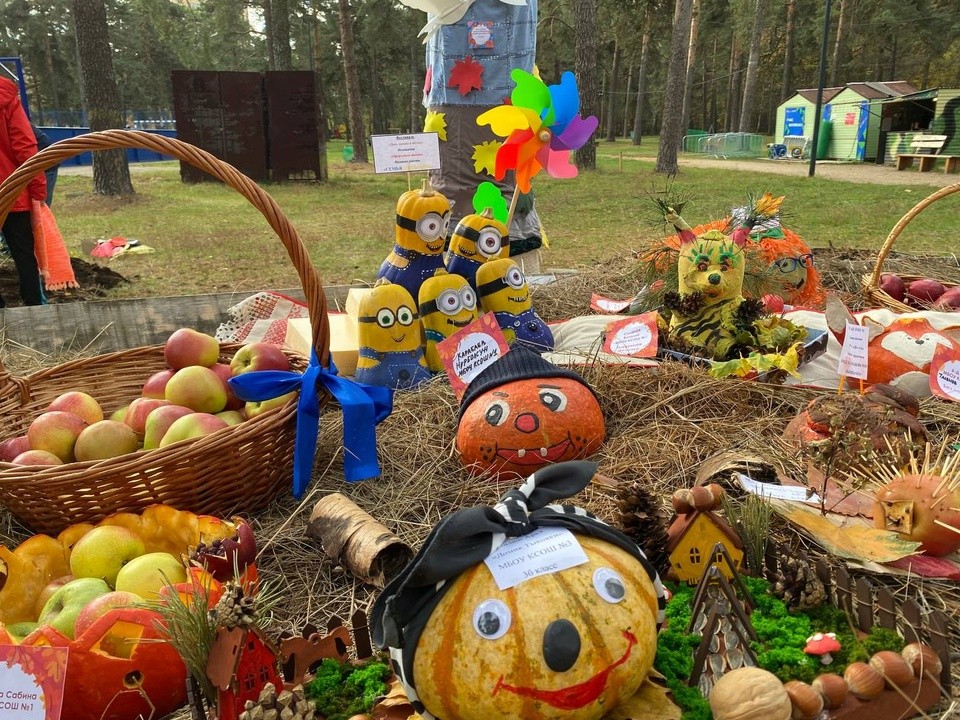 Парад тыквенных шедевров можно посмотреть в городском парке