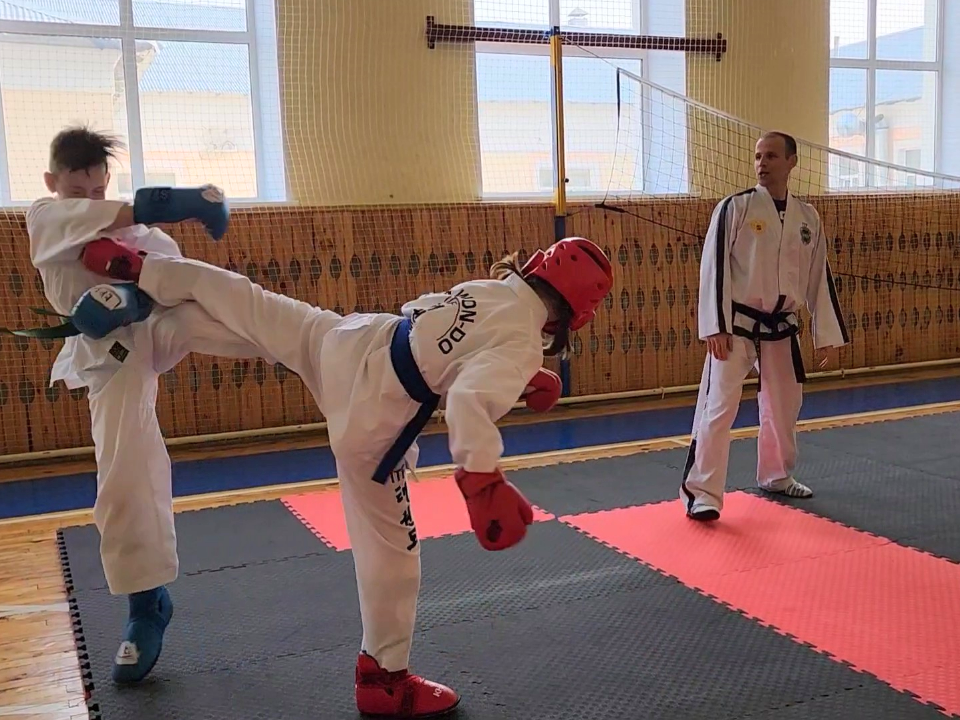 Рузские спортсмены завоевали путевки на чемпионат России по тхэквондо