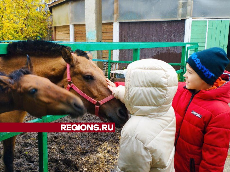 Особенные дети из Ивантеевки через общение с животными учатся доверять окружающему миру