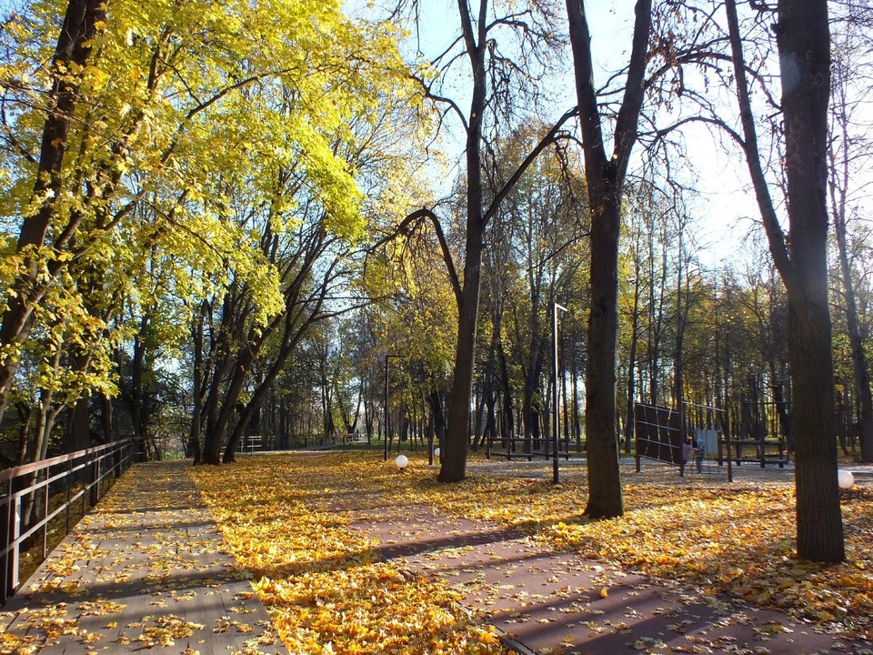 Дыхание зимы лосинопетровцы почувствуют только в конце недели