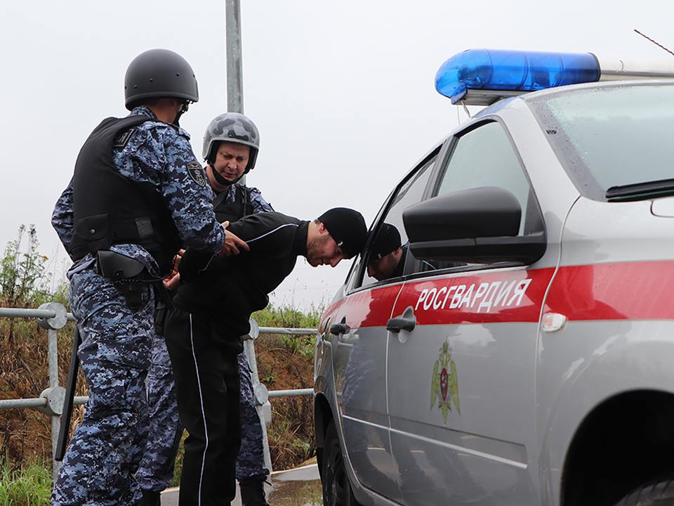 Выяснились новые детали жестокого убийства женщины на кладбище в Долгопрудном