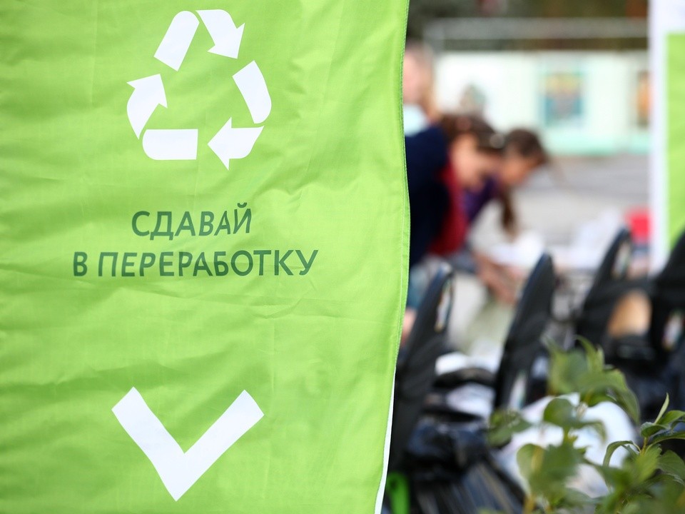 Студентов ногинского колледжа научили распознавать экотовары