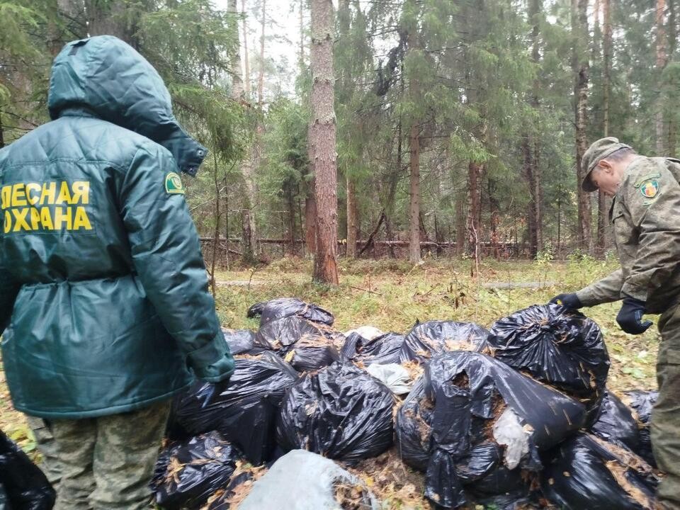 Свалку бытового мусора ликвидировали в Орехово-Зуеве