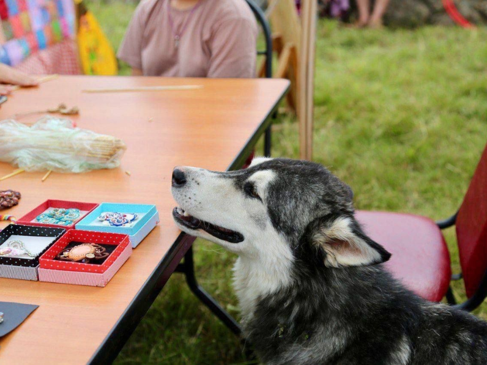 В Пущине мальчики создают дизайнерские записные книжки