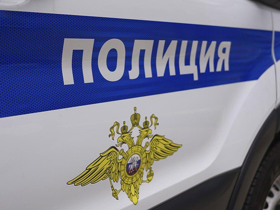 Пешеход не перейдет там, где не положено: госавтоинспекторы выписывают штрафы нарушителям