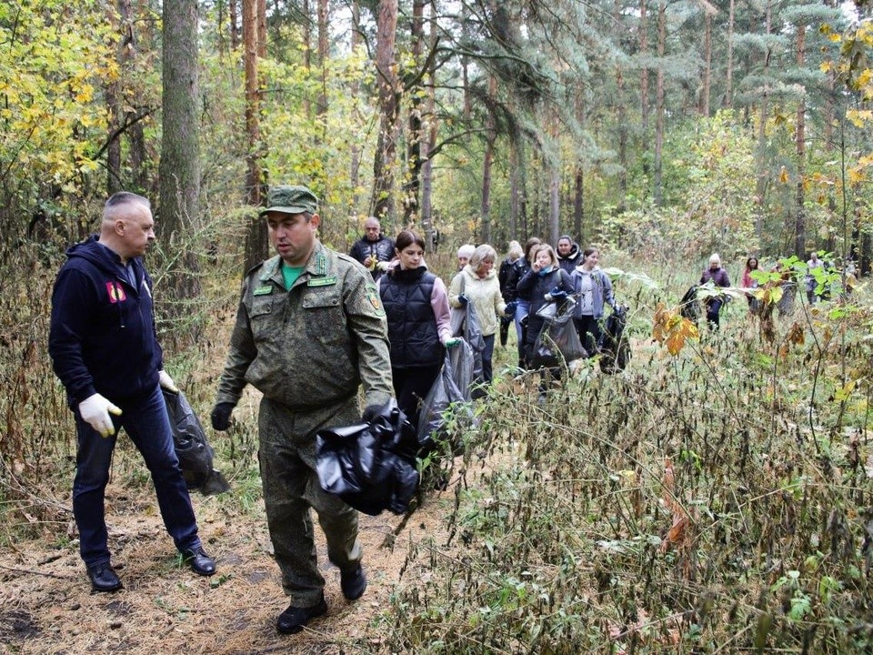 В лесах Воскресенска убрали мусор и сухостой