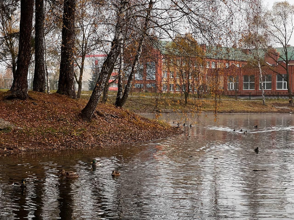 Каскад щуровских прудов в Коломне расчистили по просьбам жителей