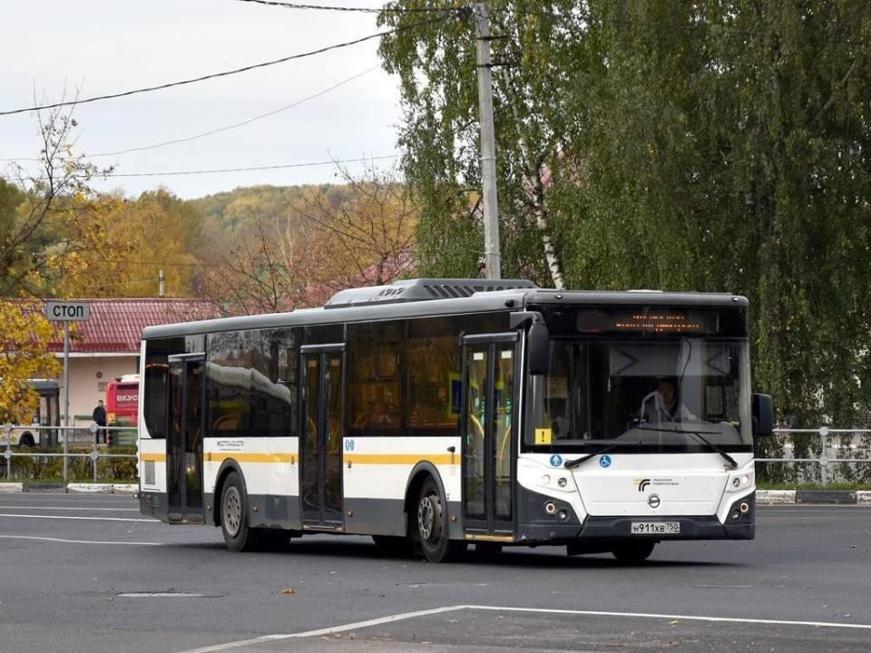 Жителям Подмосковья рассказали о способах доехать на автобусе до приюта для животных