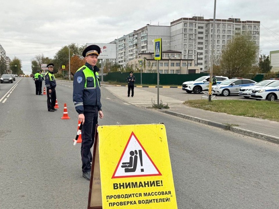 Луховицкие госавтоинспекторы за время рейда «Детское кресло» поймали двух нарушителей