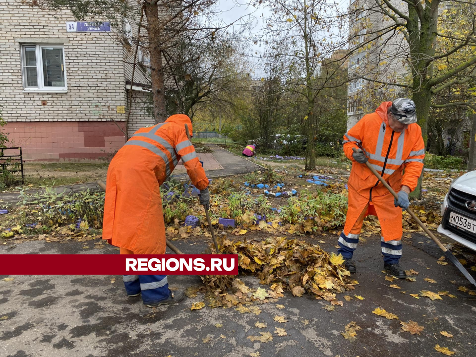 Кучи скользких кленовых листьев коммунальщики вывезли с улицы Ленина