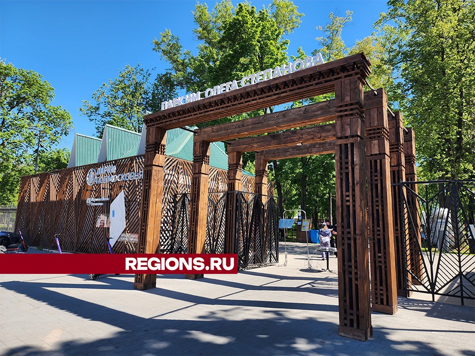 Парад колясок, викторины и силовые тренировки пройдут в парке Олега Степанова  в октябре