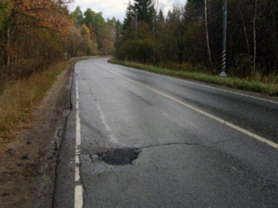 Зимние заморозки после оттепели зафиксировали в Подмосковье